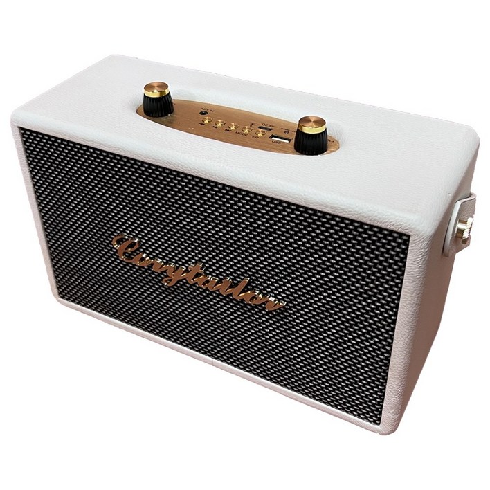 코지테일러 CT20W TWS EQ모드 블루투스 무선 스피커 B140, 화이트