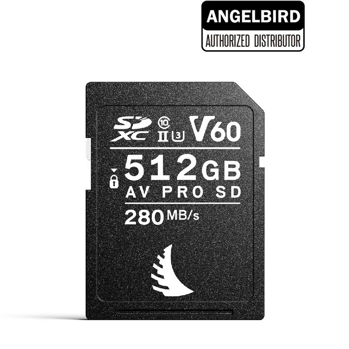 엔젤버드 AV PRO SD MK2 64GB V60, 1개