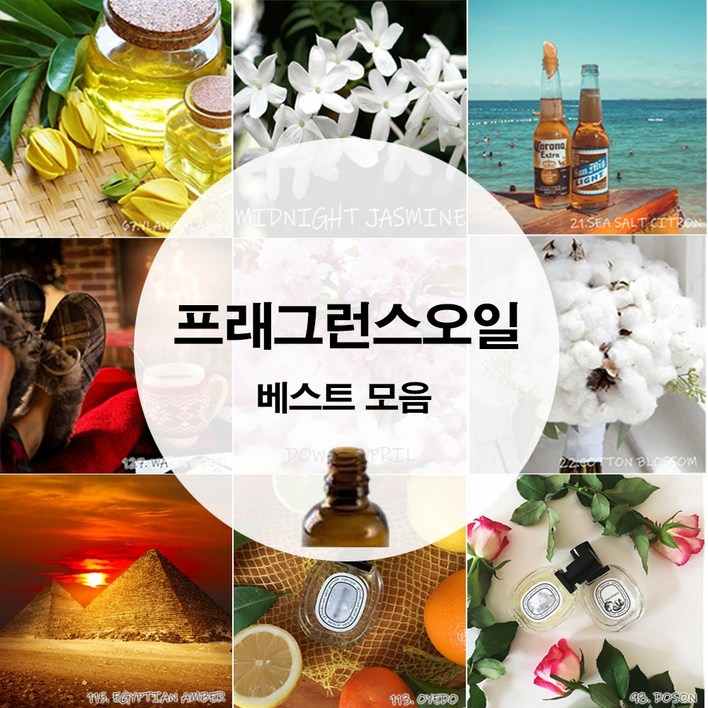 프래그런스 오일 디퓨저 캔들 석고방향제 향오일 100ml
