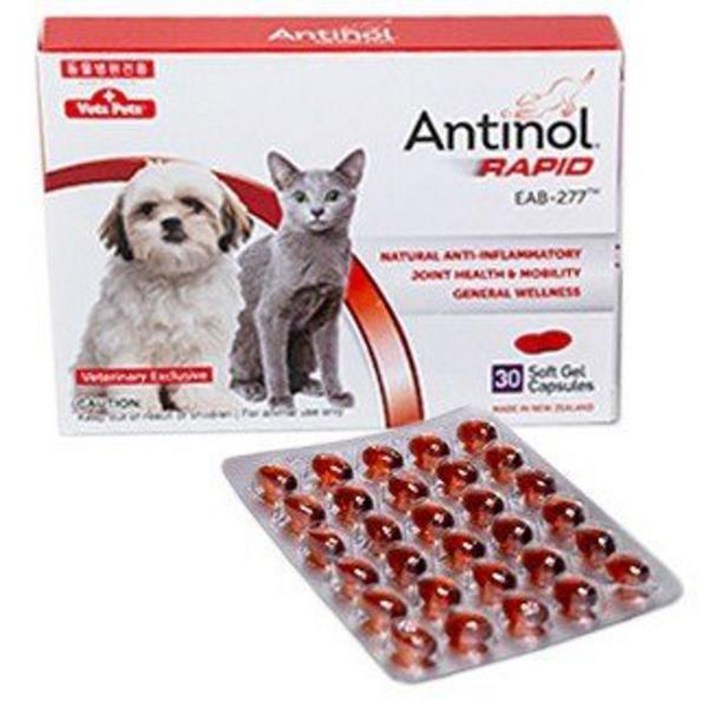 안티놀 래피드 30정 강아지 고양이 관절영양제 리뉴얼 제품 1021457 20230601