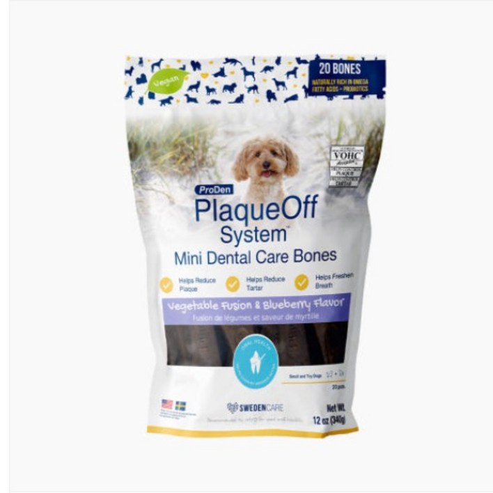 프로덴 플라그오프 덴탈 케어 본 미니