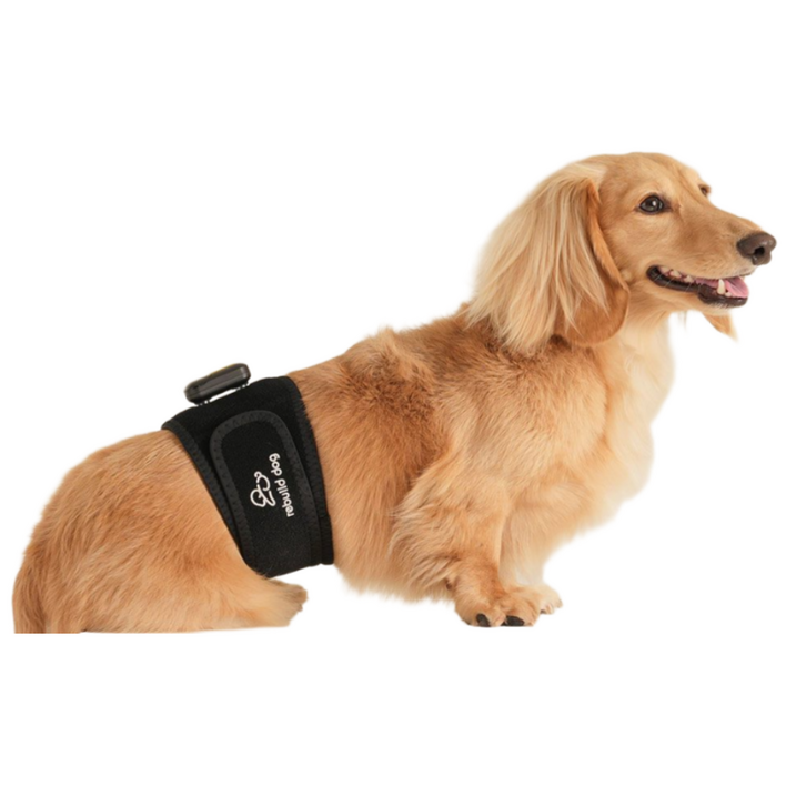리빌독 강아지 저주파 근육통증관리 기기, 1세트, 블랙, 디바이스허리밴드