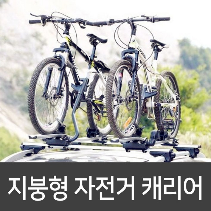 자전거 지붕형 캐리어