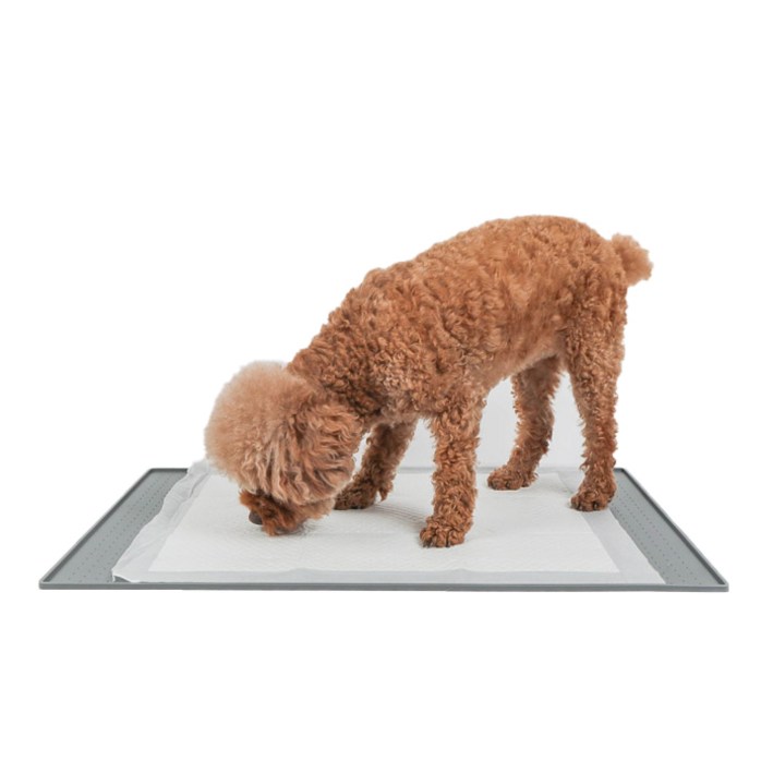강아지배변매트 딩동펫 반려동물 실리콘 식탁 방수매트 중형