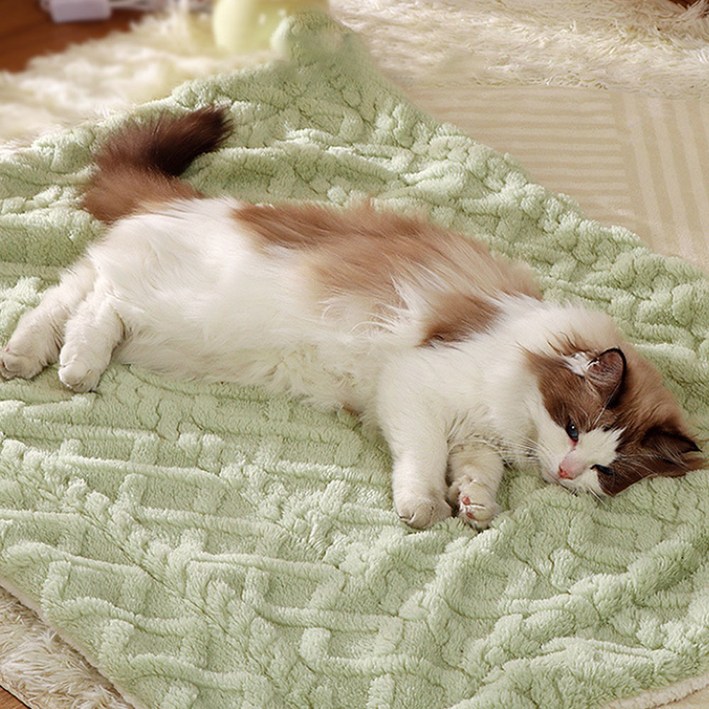 딩동펫 반려동물 방울방울 극세사 포근 이불 담요