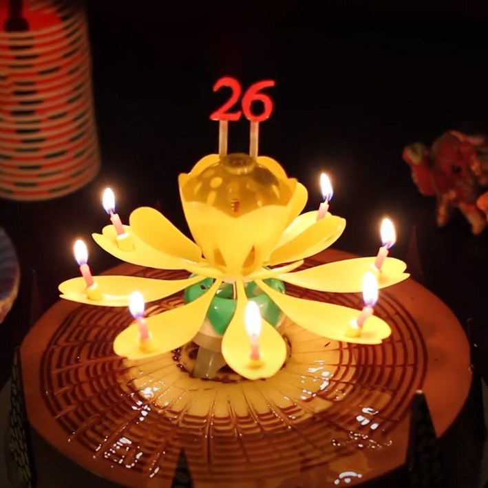 스토리빙 생일 축하 초 연꽃 멜로디 선물 파티 용품 + 숫자 토퍼 19p 세트