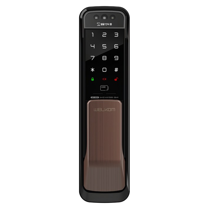 솔리티 얼굴인식 무타공 푸시필 손잡이 도어락 WP-500A