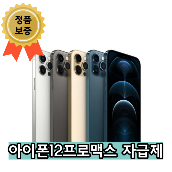 iPhone 아이폰 12 프로 맥스 128GB 256GB 512GB 5G 공기계 자급제 A2411 삼사호환