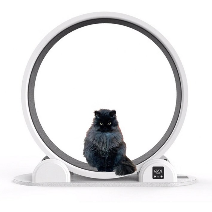 테넷 고양이 캣휠 무소음 반려동물 장난감 스마트 캣타워 다이어트 운동기구