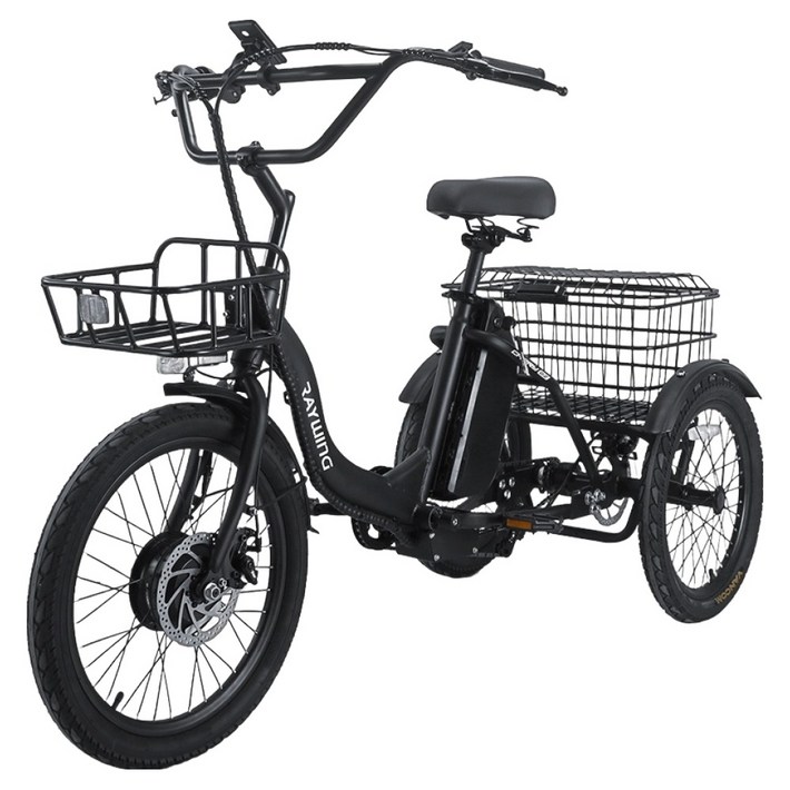 레이윙 삼성셀 배터리 캐리 이지 삼륜 전기자전거 25Ah 고객직접설치, 팬텀 블랙, 스틸