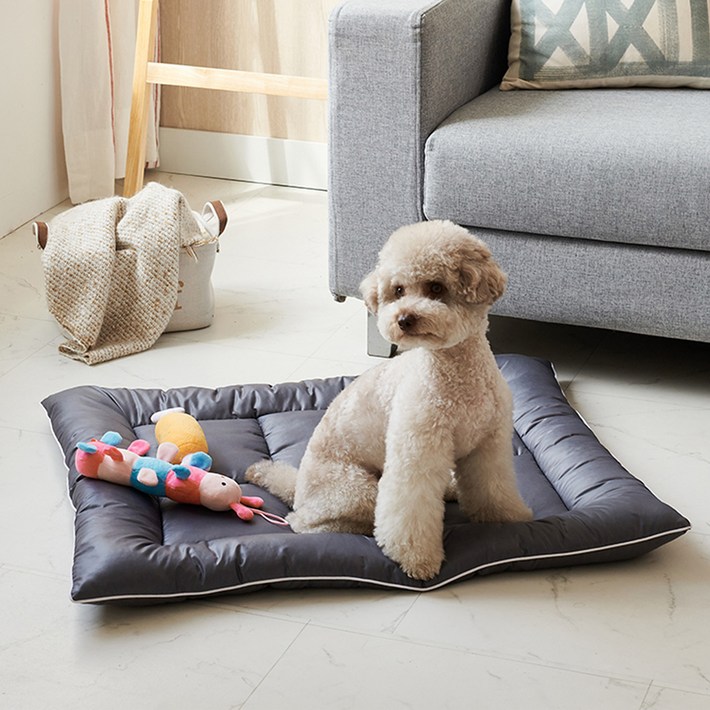 코멧 털이 잘 털리는 펫방석, 그레이, 1개