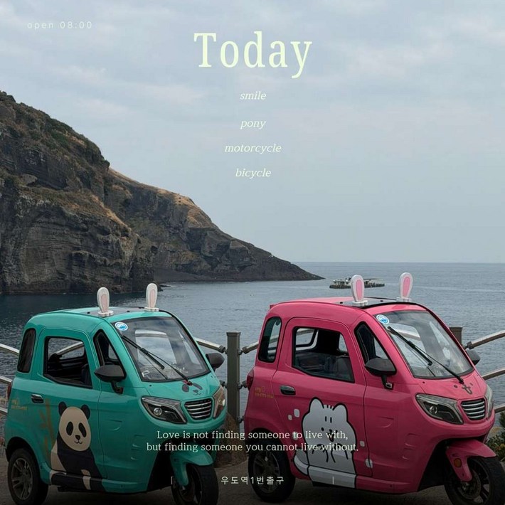 최신형 사이드카2인승오전권 800  1230