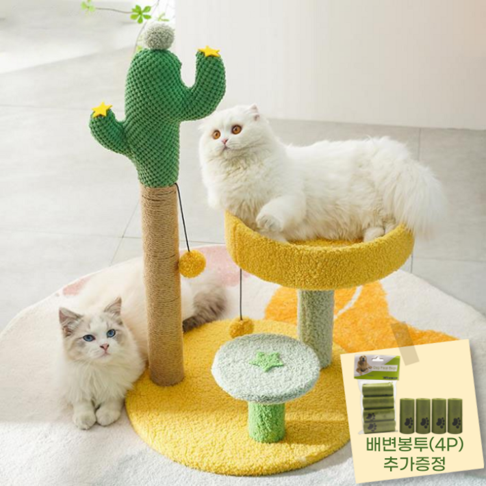 고양이 미니 캣타워 스크래쳐 3단 기둥형 선인장 소형