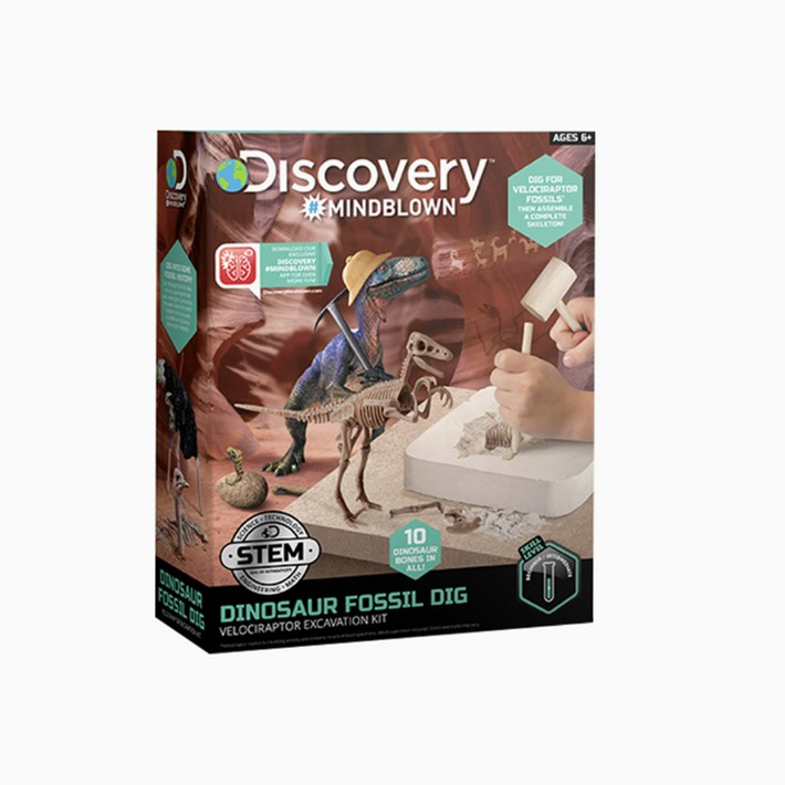 디스커버리공룡 화석 캐기3D 벨로시랩터