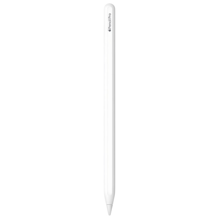 Apple 정품 애플펜슬 프로, 화이트, 1개