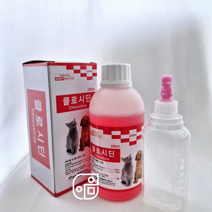 클로시딘 250ml100ml 투약병 고양이 링웜 턱드름 강아지 피부 소독약 알파헥시딘
