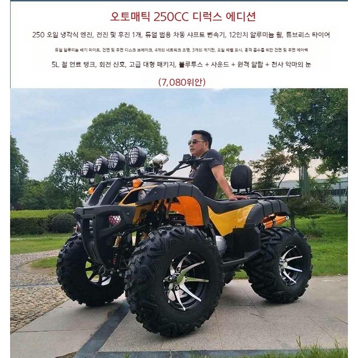 사륜오토바이 산악 오프로드 ATV 사발이 운반차, 자동 변속기 250 오일 냉각 럭셔리 버전