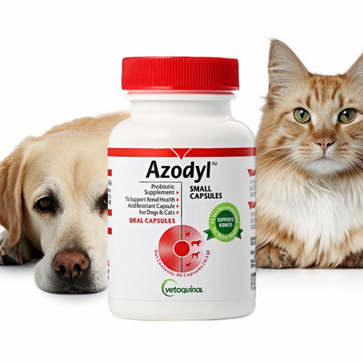 베토퀴놀 아조딜 영양제 90캡슐정식 수입품비표 제거 없음완벽 냉장배송유통기한2027 03월