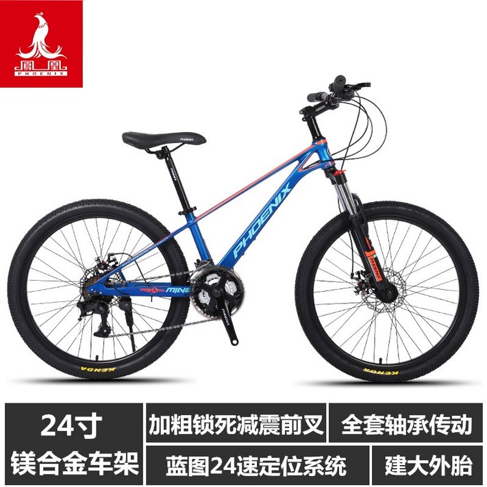 자이언트자전거 여성로드 입문용MTB자전거 초등학생자전거 자이언트자전거 여성로드 입문용MTB자전거 초등학생자전거