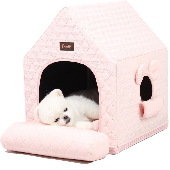 초코펫하우스 반려동물 에브리데이하우스 3.0