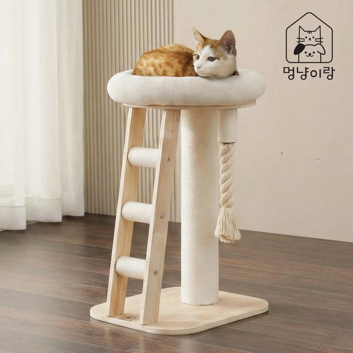 멍냥이랑 원목 캣타워 캣폴 스크래쳐