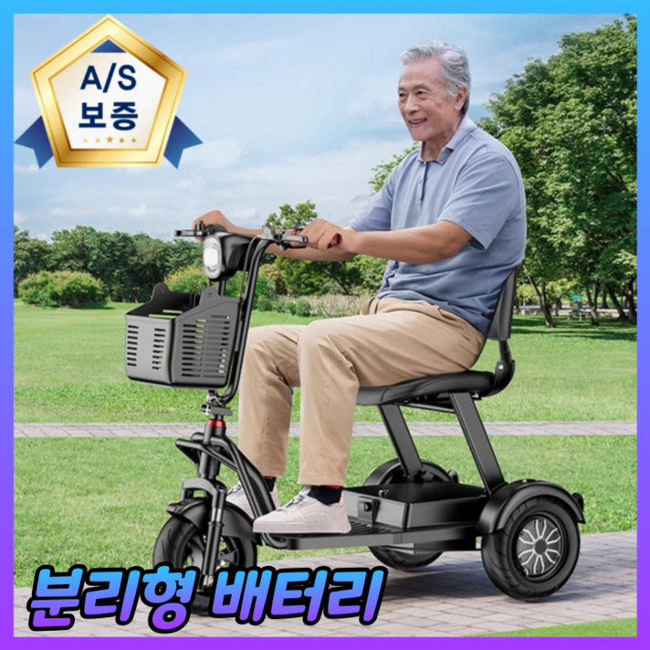 골든모션 노인 전동차 오토바이 전기 스쿠터 전동 산책 삼발이 3륜 삼륜 전동카 어르신 배터리