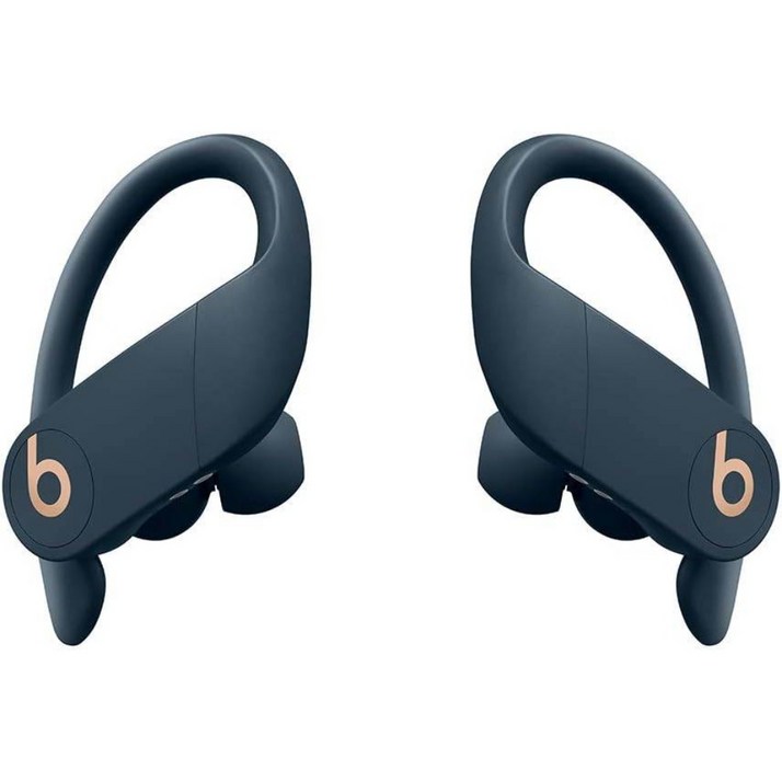 Beats by Dr. Dre Powerbeats Pro Wireless 이어버드