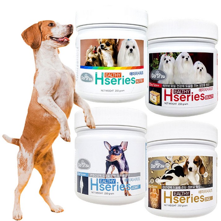 데이스포 에이치시리즈 영양제 종합관절장피부250g