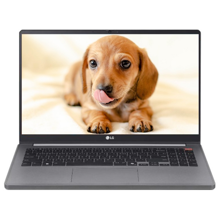LG 전자 울트라PC 15형 인강용 대학생 사무용 가성비 노트북, 인텔 코어i5, WIN11 Pro, 32GB, 256GB, 타이탄실버