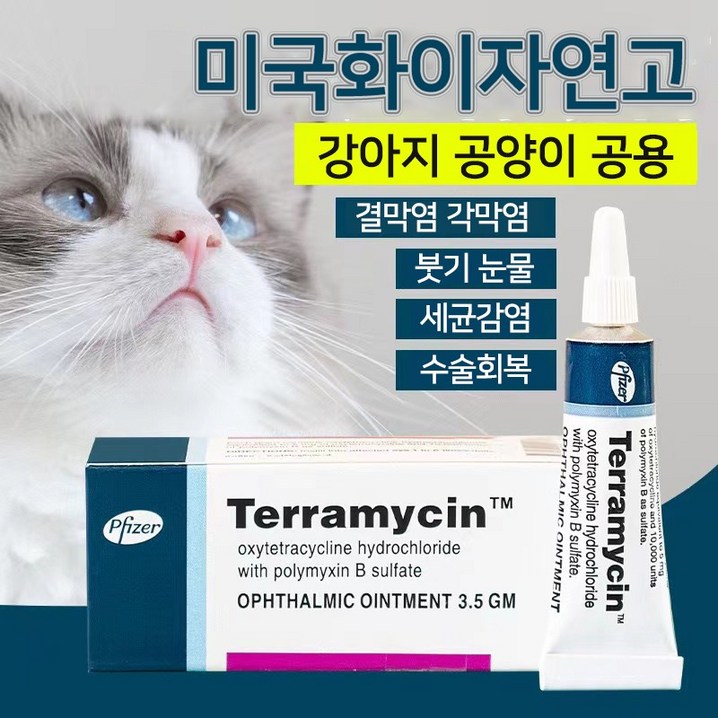 미국수입 Terramycin 반려동물 눈염증연고 강아지 결막염 눈물개선눈건강 5통구입제한 C0352, 5개, 3.5g