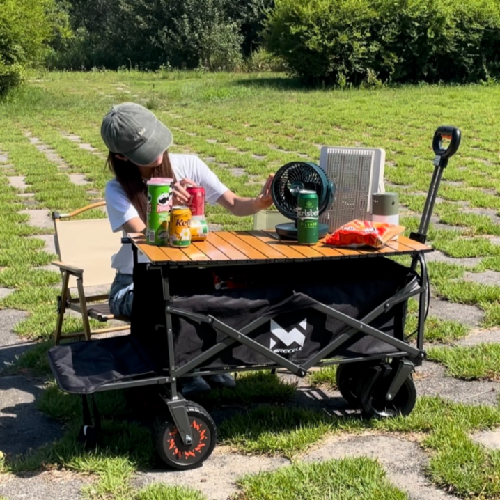 주니스 전동 캠핑 웨건 전동카트 삼성 7000mAh 배터리 업그레이드 100W