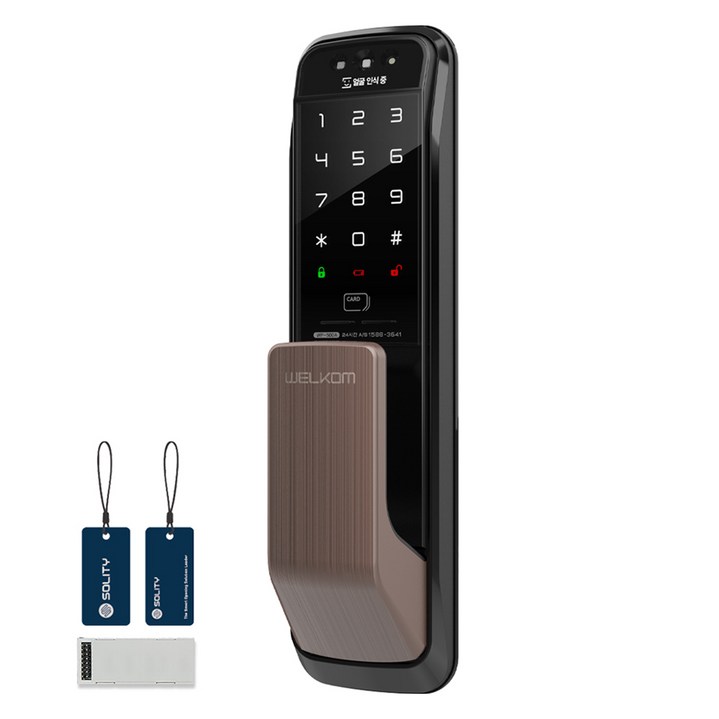솔리티 웰콤 WiFi 무타공 푸시풀 얼굴인식 Iot 디지털 도어락 WP-500A, WP-500A, 고객직접설치
