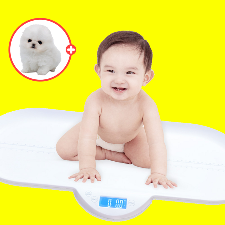 [체중계+키] 레벨홈 신생아 유아 체중계 강아지 고양이, 1개