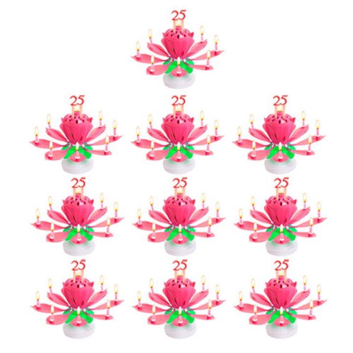 특이한초 아이템하우스 자동 개화 연꽃초, 핑크, 10개