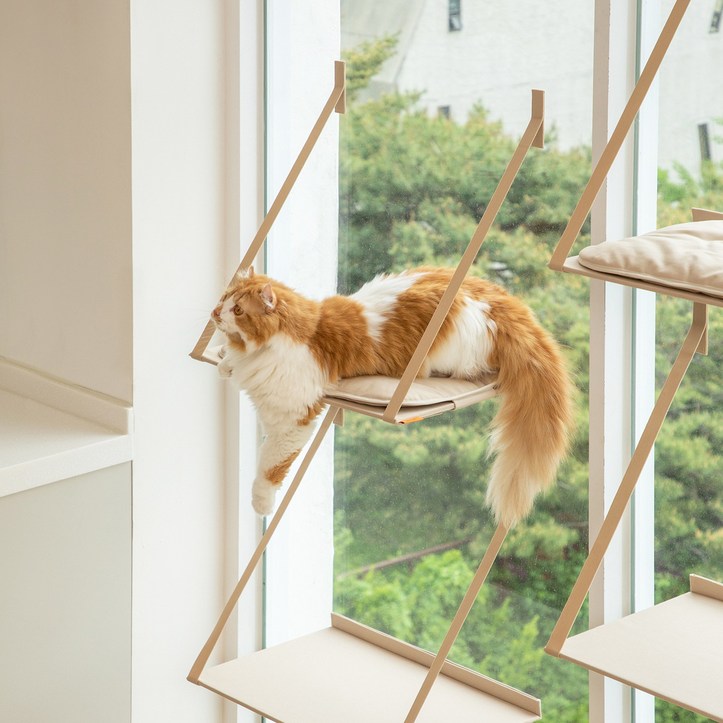 애니멀리프 접을 수 있는 창문 캣타워 / 고양이 원목 소형 미니 대형 계단 캣워크 캣워커 - 투데이밈
