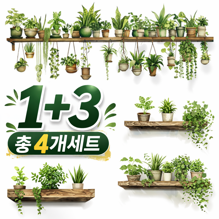 제이레인 식물 인테리어 스티커 벽면 인테리어 스티커