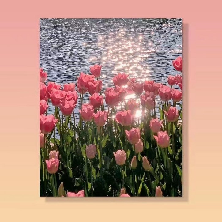 votgl DIY명화그리기 그림그리기꽃 유화 세트 40 x 50cm