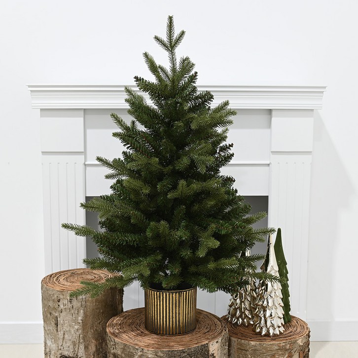 도시정원 알파인 전나무 틴트리