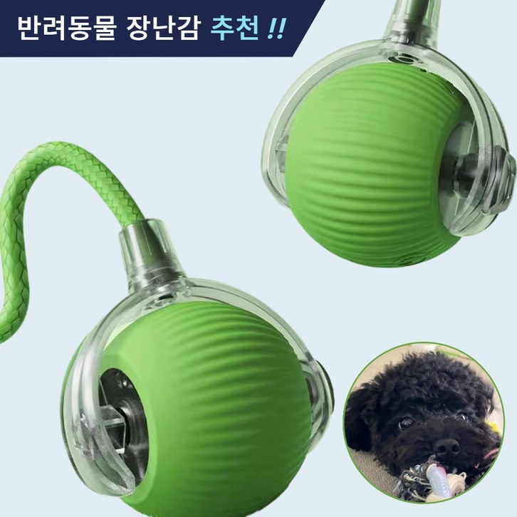 제이셀르 자동으로 움직이는 반려동물 장난감 강아지 자동 공놀이 장난감, 그린, 1개 제이셀르 자동으로 움직이는 반려동물 장난감 강아지 자동 공놀이 장난감, 그린, 1개