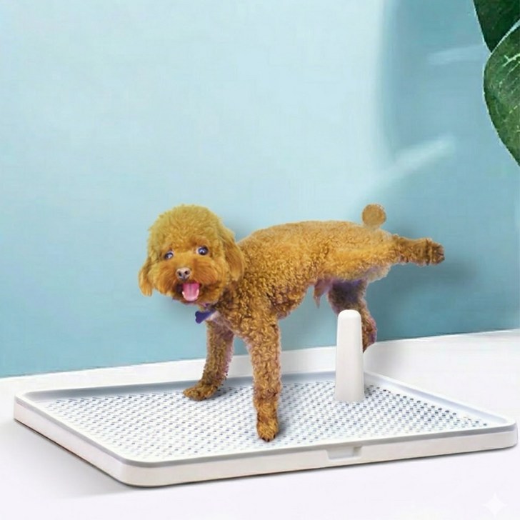 반려동물 강아지 매쉬형 배변판 기둥포함, 1개, 파스텔블루